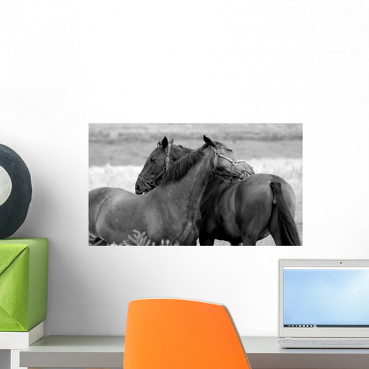 Horses in Love Wall Mural