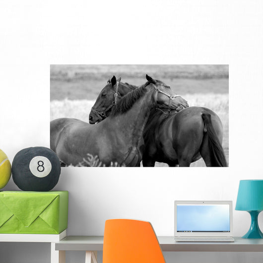 Horses in Love Wall Mural