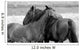 Horses in Love Wall Mural