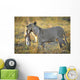 Lioness with Prey Wall Mural