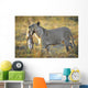 Lioness with Prey Wall Mural