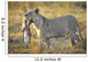 Lioness with Prey Wall Mural