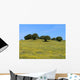 Campagna Sarda Wall Decal
