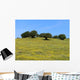Campagna Sarda Wall Decal