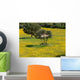 Gallura Countryside Wall Decal