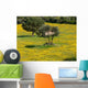 Gallura Countryside Wall Decal