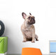 French Bulldog Wall Decal