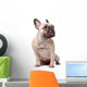 French Bulldog Wall Decal