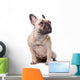French Bulldog Wall Decal