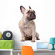 French Bulldog Wall Decal