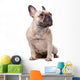 French Bulldog Wall Decal