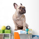 French Bulldog Wall Decal