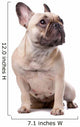 French Bulldog Wall Decal