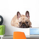 French Bulldog Wall Decal