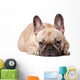 French Bulldog Wall Decal