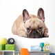 French Bulldog Wall Decal