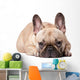 French Bulldog Wall Decal
