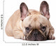 French Bulldog Wall Decal