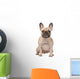 french bulldog Wall Decal