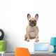 french bulldog Wall Decal