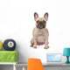 french bulldog Wall Decal