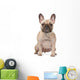 french bulldog Wall Decal