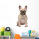 french bulldog Wall Decal