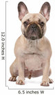 french bulldog Wall Decal