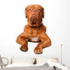 French Mastiff Wall Decal