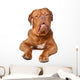 Bordeaux French Mastiff Wall Decal