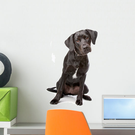 Mixed Breed Lab Cross Wall Decal