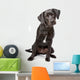 Mixed Breed Lab Cross Wall Decal