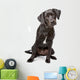 Mixed Breed Lab Cross Wall Decal