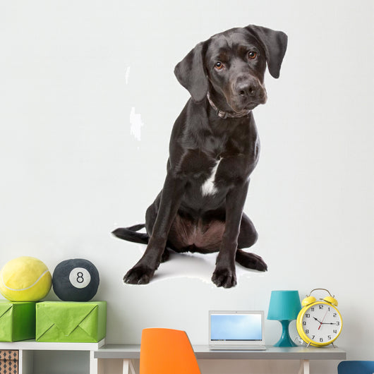 Mixed Breed Lab Cross Wall Decal