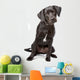 Mixed Breed Lab Cross Wall Decal