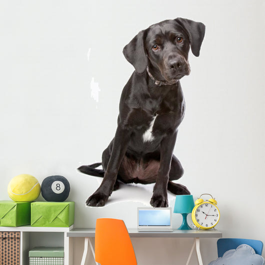Mixed Breed Lab Cross Wall Decal