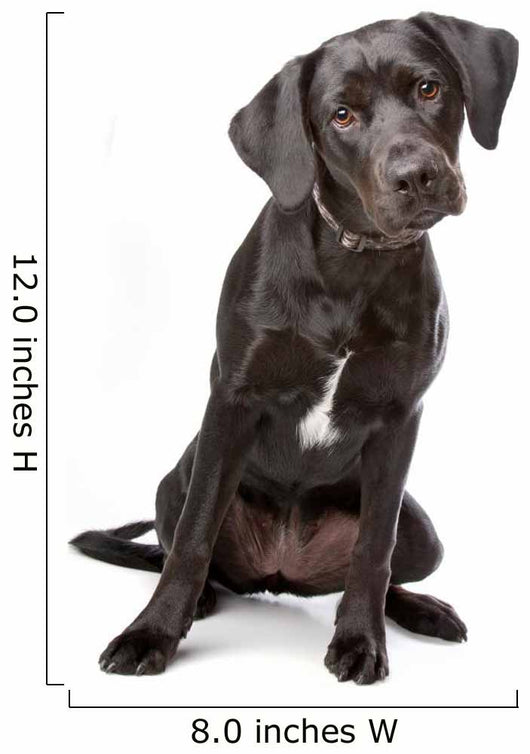 Mixed Breed Lab Cross Wall Decal