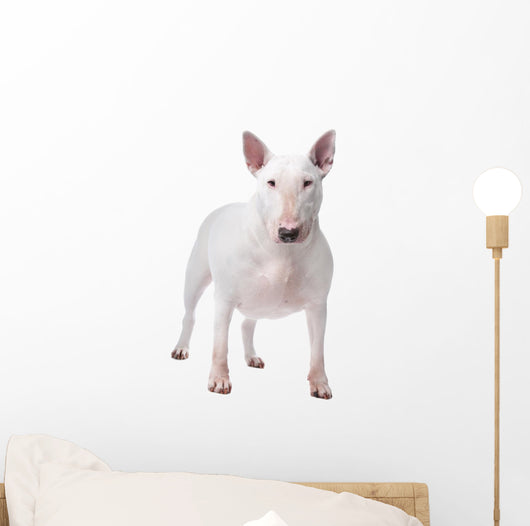 Bull terrier Wall Decal