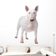 Bull terrier Wall Decal