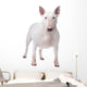 Bull terrier Wall Decal