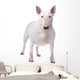 Bull terrier Wall Decal