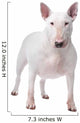 Bull terrier Wall Decal