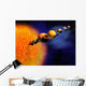 Solar System Wall Mural