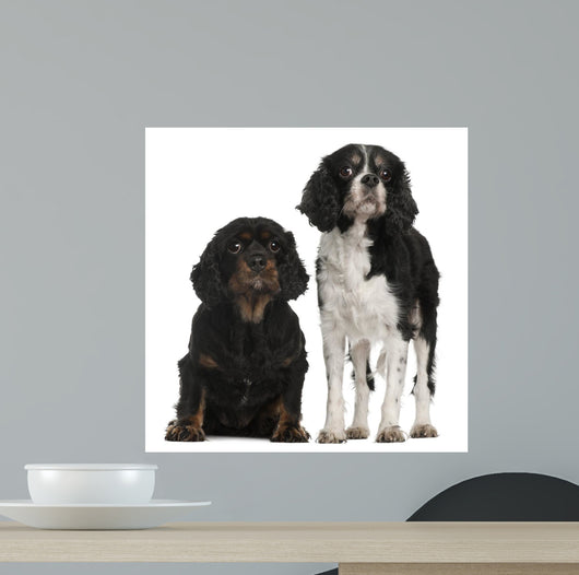 Cavalier King Charles Spaniels Wall Decal