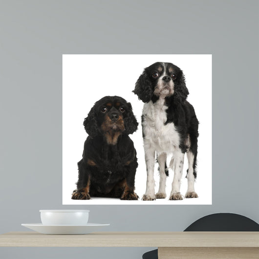 Cavalier King Charles Spaniels Wall Decal