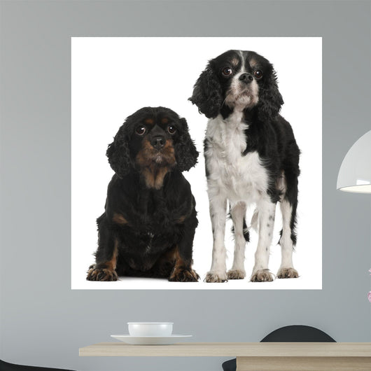 Cavalier King Charles Spaniels Wall Decal