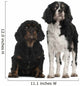 Cavalier King Charles Spaniels Wall Decal