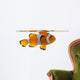 Clownfish, Amphiprion ocellaris, in front of white background Wall Decal