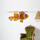 Clownfish, Amphiprion ocellaris, in front of white background Wall Decal