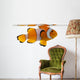 Clownfish, Amphiprion ocellaris, in front of white background Wall Decal